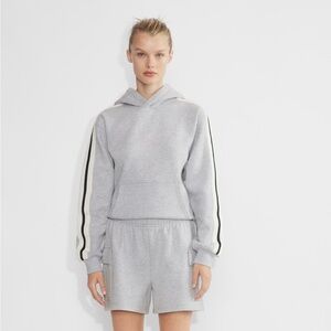 Aritzia Sweaflee Grey Cargo Shorts